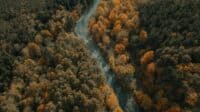 An aerial view of a river in the woods.